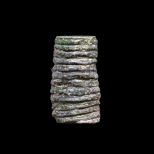 MYLIOBTIS SP. �����. ����, ������, ��. ���������